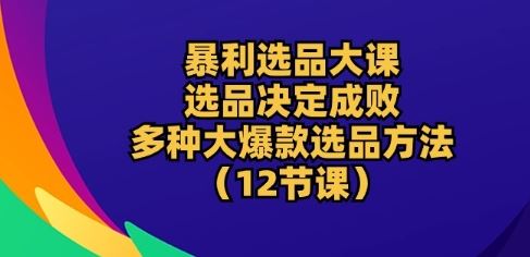 暴利选品大课：选品决定成败，教你多种大爆款选品方法(12节课)-徐小晨博客