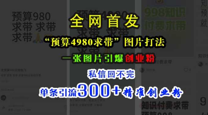 小红书“预算4980带我飞”图片打法，一张图片引爆创业粉，私信回不完，单条引流300+精准创业粉-徐小晨博客
