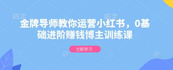 金牌导师教你运营小红书，0基础进阶赚钱博主训练课-徐小晨博客