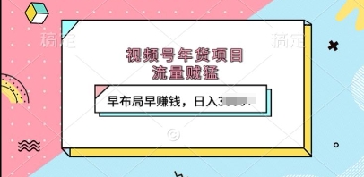 视频号年货项目，流量贼猛，早布局早挣钱，日入上k【揭秘】-徐小晨博客