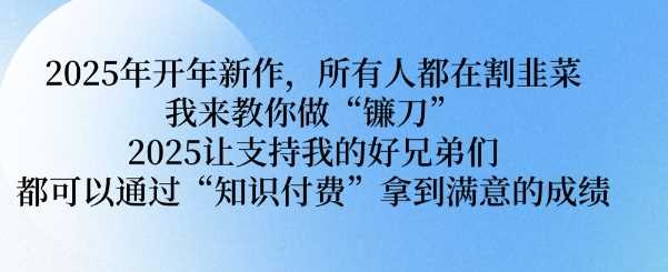 2025年开年新作，所有人都在割韭菜，我来教你做“镰刀” 2025让支持我的好兄弟们都可以通过“知识付费”拿到满意的成绩【揭秘】-徐小晨博客