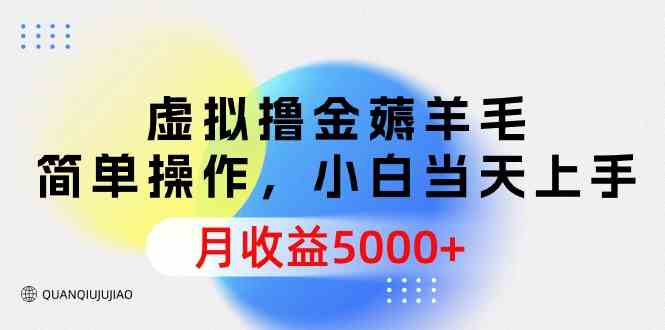 虚拟撸金薅羊毛，简单操作，小白当天上手，月收益5000+-徐小晨博客