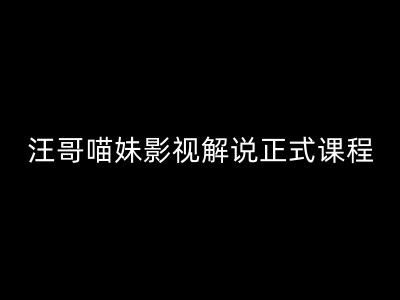 汪哥影视解说正式课程：剪映/PR教学/视解说剪辑5大黄金法则/全流程剪辑7把利器等等-徐小晨博客