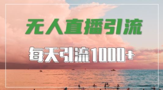 抖音快手视频号全平台通用，无人直播引流法，超暴力引流1000+高质量精准创业粉【揭秘】-徐小晨博客