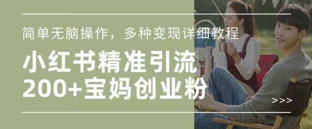 小红书混剪日引200+宝妈创业粉，简单无脑操作，多种变现详细教程-徐小晨博客