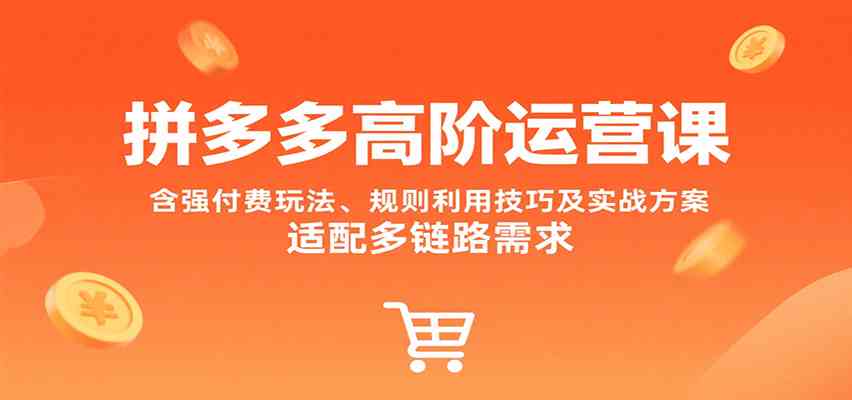 拼多多高阶运营课，含强付费玩法、规则利用技巧及实战方案，适配多链路需求-徐小晨博客