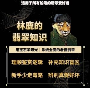 林鹿的翡翠知识，用宝石眼光，系统全面的看懂翡翠-徐小晨博客