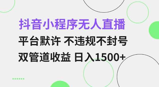 抖音小程序无人直播 平台默许 不违规不封号 双管道收益 日入多张 小白也能轻松操作【仅揭秘】-徐小晨博客