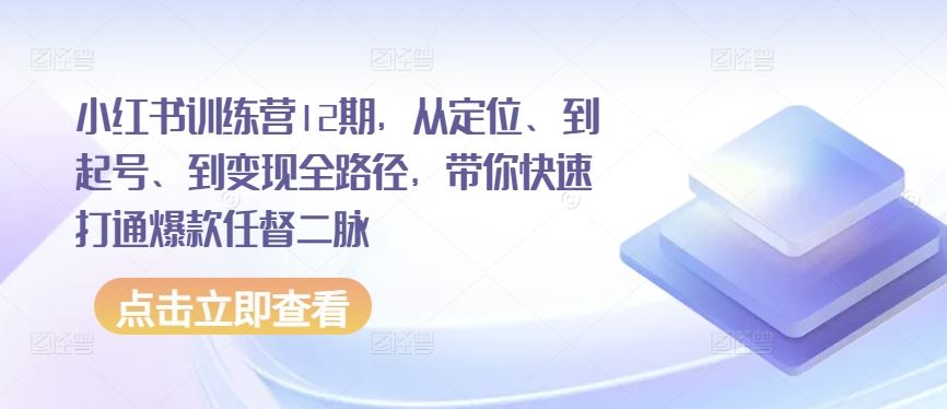 小红书训练营12期，从定位、到起号、到变现全路径，带你快速打通爆款任督二脉-徐小晨博客