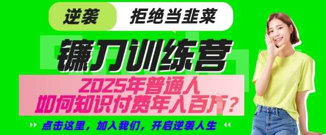 【网创项目终点站-镰刀训练营超级IP合伙人】25年普通人如何通过知识付费实现逆袭【揭秘】-徐小晨博客