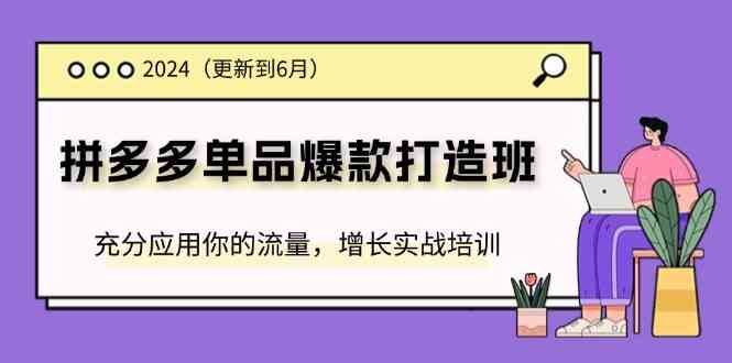 2024拼多多单品爆款打造班，充分应用你的流量，增长实战培训(更新6月)-徐小晨博客