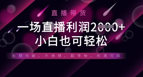 半无人直播带货，一场利润数张，适合所有平台玩法，小白也可轻松-徐小晨博客