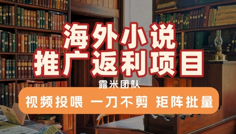 海外小说推广返利项目，视频投喂， 一刀不剪，矩阵批量-徐小晨博客