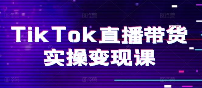 TikTok直播带货实操变现课：系统起号、科学复盘、变现链路、直播配置、小店操作流程、团队搭建等。-徐小晨博客