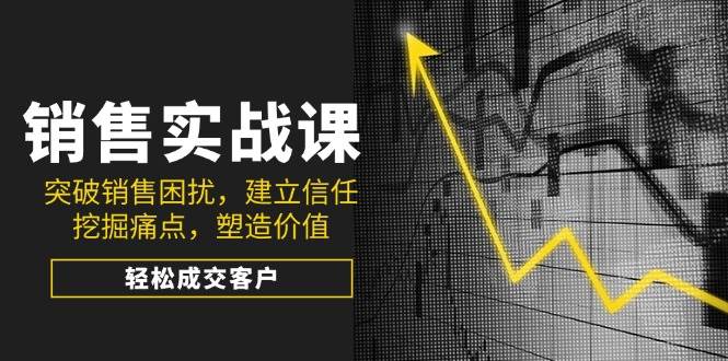 销售实战课，突破销售困扰，建立信任，挖掘痛点，塑造价值，轻松成交客户-徐小晨博客