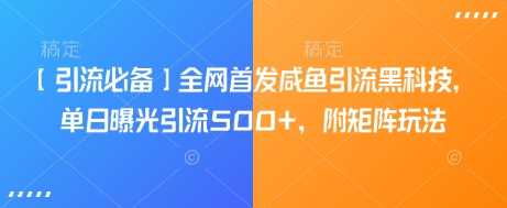 【引流必备】全网首发咸鱼引流黑科技，单日曝光引流500+，附矩阵玩法【揭秘】-徐小晨博客