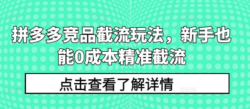 拼多多竞品截流玩法，新手也能0成本精准截流-徐小晨博客