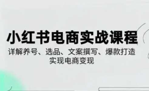 小红书从0-1实操课(2023-2025)，详解养号、选品、文案撰写、爆款打造实现电商变现-徐小晨博客