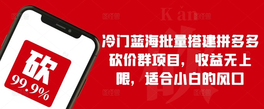 冷门蓝海批量搭建拼多多砍价群项目，收益无上限，适合小白的风口【揭秘】-徐小晨博客