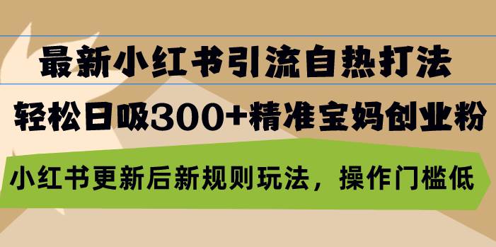 最新小红书引流自热打法，轻松日吸300+精准宝妈创业粉，小红书更新后新…-徐小晨博客