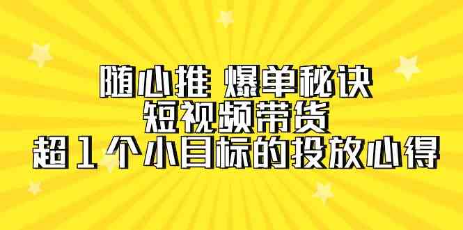 随心推 爆单秘诀，短视频带货-超1个小目标的投放心得（7节视频课）-徐小晨博客