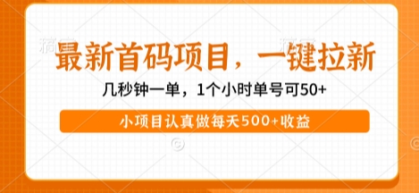 最新首码项目，操作最简单，收益高，一键拉新，1个小时单号可50+，小项目认真做每天5张+收益【揭秘】-徐小晨博客