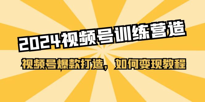 2024视频号训练营，视频号爆款打造，如何变现教程（20节课）-徐小晨博客