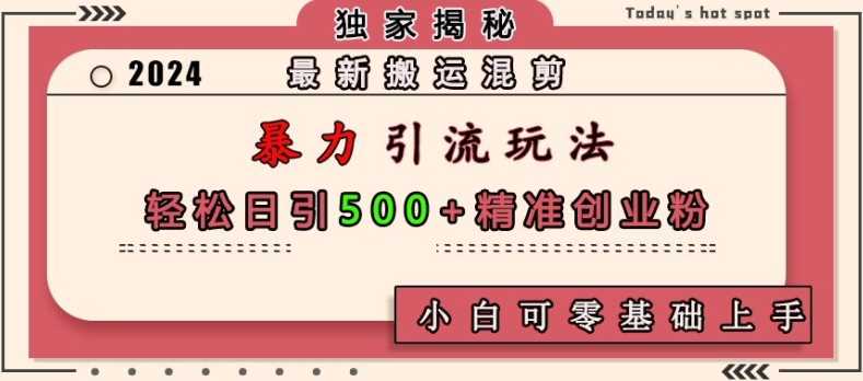 最新搬运混剪暴力引流玩法，轻松日引500+精准创业粉，小白可零基础上手-徐小晨博客