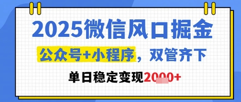 2025微信风口掘金，公众号+小程序双管齐下，单日稳定变现1k+【揭秘】-徐小晨博客
