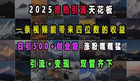 2025自热引流天花板，一条视频能带来四位数的收益，引流+变现双管齐下，日引500+创业粉，涨粉嘎嘎猛-徐小晨博客
