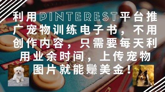 利用Pinterest平台推广宠物训练电子书，不用创作内容，只需要每天利用业余时间，上传宠物图片就能挣美金!-徐小晨博客