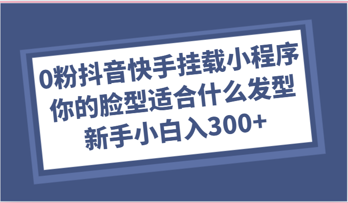 0粉抖音快手挂载小程序，你的脸型适合什么发型玩法，新手小白日入300+-徐小晨博客