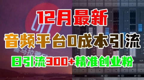 12月最新：音频平台0成本引流，日引流300+精准创业粉-徐小晨博客