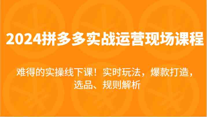 2024拼多多实战运营现场课，实时玩法，爆款打造，选品、规则解析，难得的实操线下课！-徐小晨博客