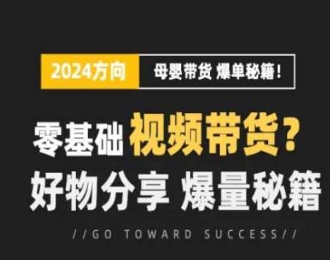 短视频母婴赛道实操流量训练营，零基础视频带货，好物分享，爆量秘籍-徐小晨博客