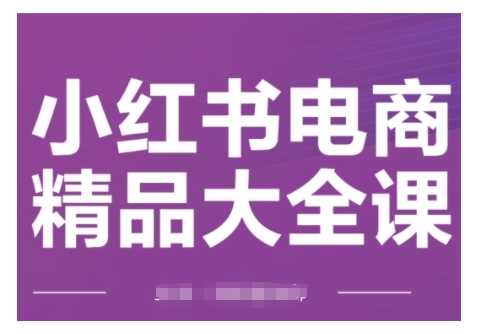 小红书电商精品大全课，快速掌握小红书运营技巧，实现精准引流与爆单目标，轻松玩转小红书电商-徐小晨博客
