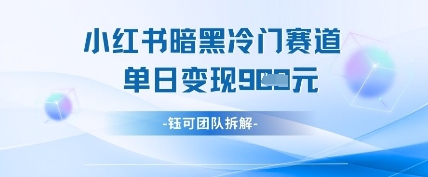 小红书冷门”暗黑”赛道，单日收益多张-徐小晨博客