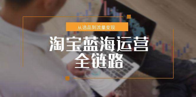淘宝蓝海运营全链路，从选品到流量变现，小类目突围完整方案-徐小晨博客