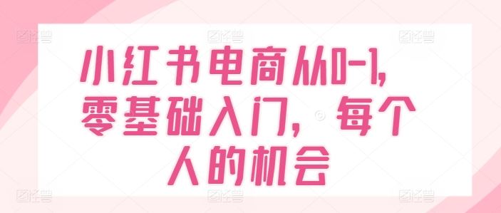 小红书电商从0-1，零基础入门，每个人的机会-徐小晨博客