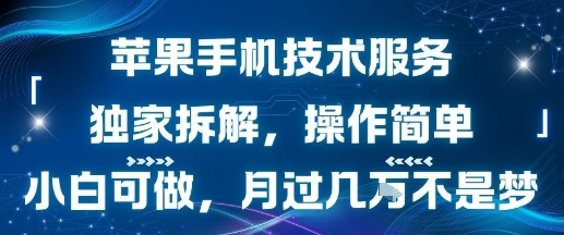 苹果手机技术服务，独家拆解，操作简单，小白可做，月过1W不是梦-徐小晨博客