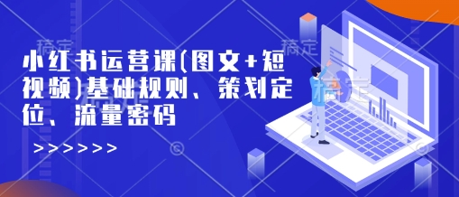 小红书运营课(图文+短视频)基础规则、策划定位、流量密码-徐小晨博客