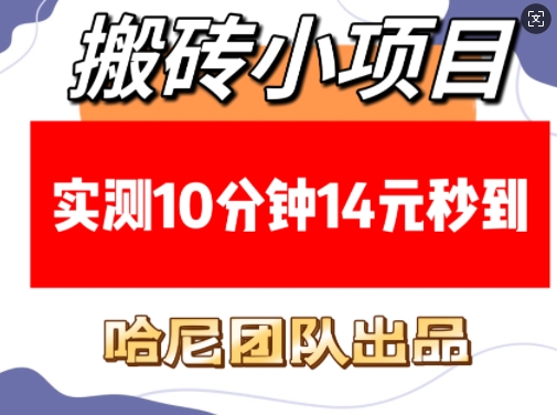 搬砖小项目，实测10分钟14元秒到，每天稳定几张(赠送必看稳定)-徐小晨博客