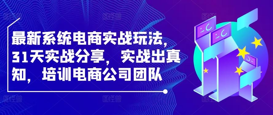 最新系统电商实战玩法，31天实战分享，实战出真知，培训电商公司团队-徐小晨博客
