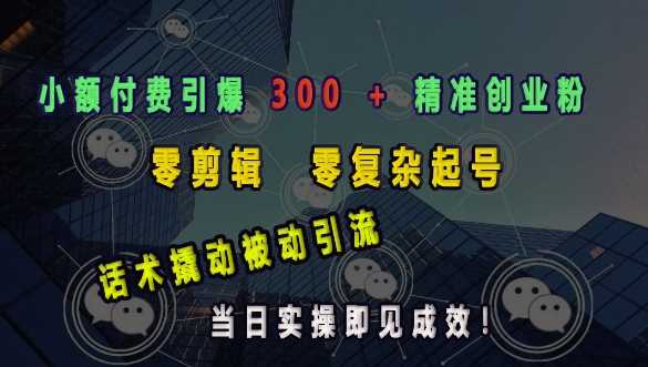 小额付费引爆 300 + 精准创业粉，零剪辑、零复杂起号，话术撬动被动引流，当日实操即见成效-徐小晨博客