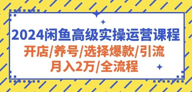 2024闲鱼高级实操运营课程：开店/养号/选择爆款/引流/月入2万/全流程-徐小晨博客