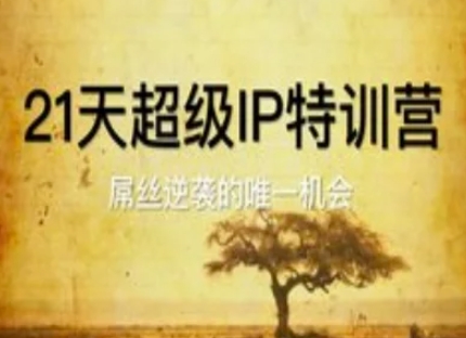 21天超级IP特训营，屌丝逆袭的唯一机会-徐小晨博客
