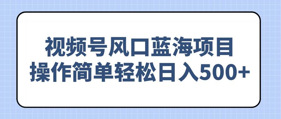 视频号风口蓝海项目，操作简单轻松日入500+-徐小晨博客