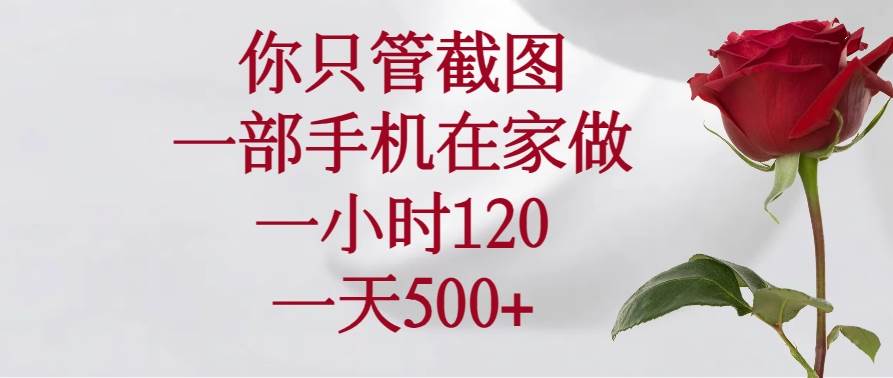 你只管截图，一部手机在家做，一小时120，一天500+-徐小晨博客