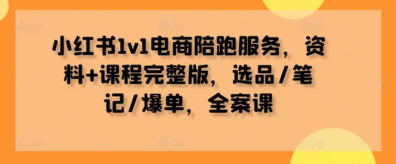 小红书1v1电商陪跑服务，资料+课程完整版，选品/笔记/爆单，全案课-徐小晨博客