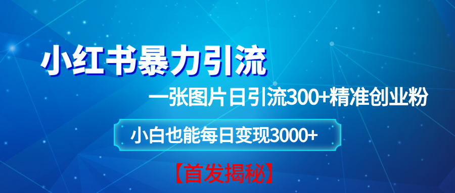 小红书暴力引流法，一张图片日引 300+精准创业粉，每日稳定变现 3000+【揭秘】-徐小晨博客
